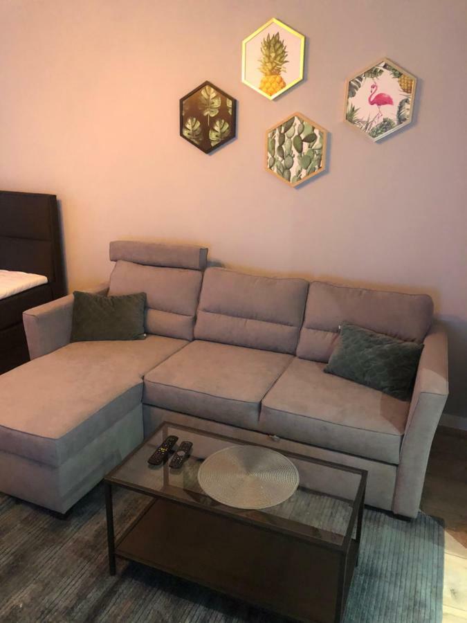 Apartament Flaming Z Balkonem - Scisle Centrum Naprzeciwko Pkp I Pks - Self Check In - Darmowy Parking - Pozne Wymeldowanie - Wystawiamy Fv ออปอเล ภายนอก รูปภาพ